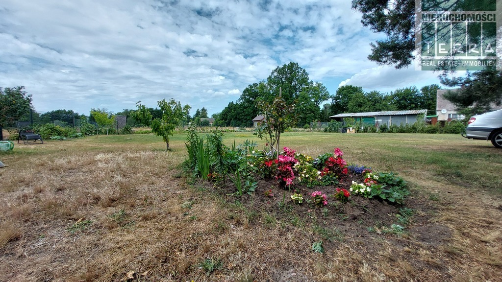 Działka ze STAWEM ! (13)