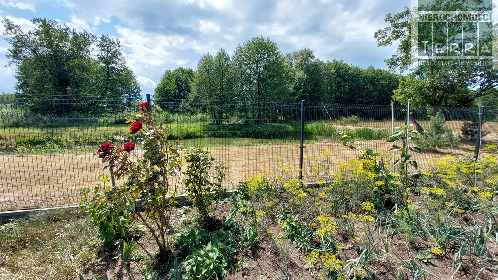 Działka ze STAWEM ! (14)