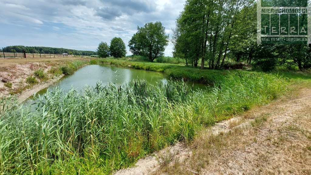Działka ze STAWEM ! (16)