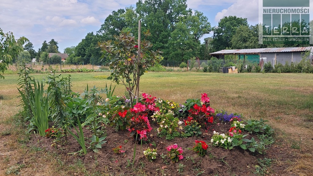 Działka ze STAWEM ! (18)