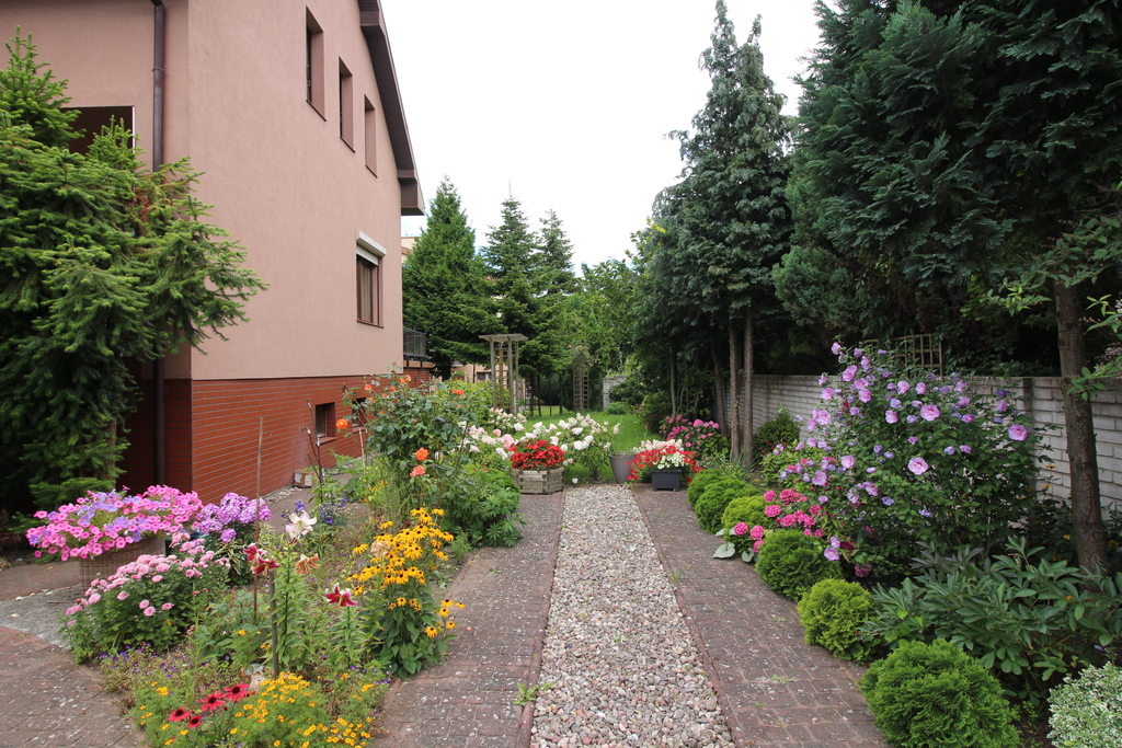 Dom wolnostojący w centrum Stargard (3)