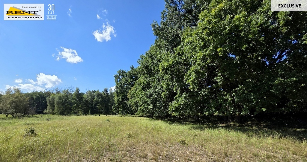 Działka budowlana, Warunki Zabudowy Kopice MEDIA (4)