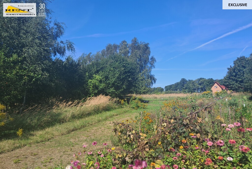 Parlino- Działka pod zabudowę (2)