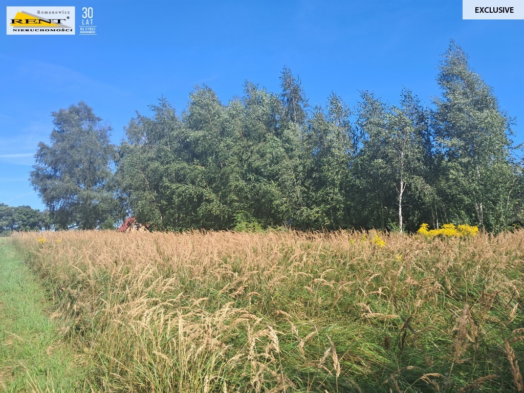 Parlino- Działka pod zabudowę (3)