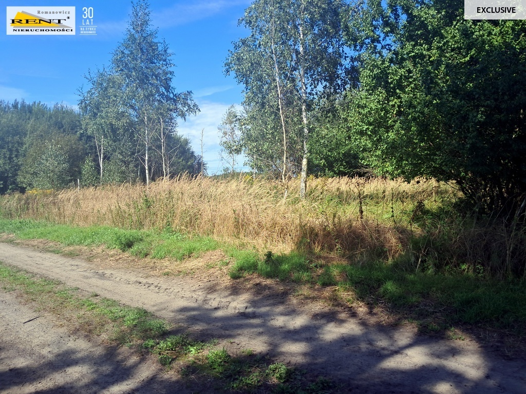 Parlino- Działka pod zabudowę (6)