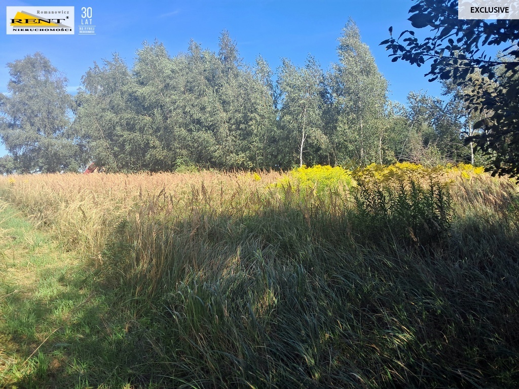 Parlino- Działka pod zabudowę (4)