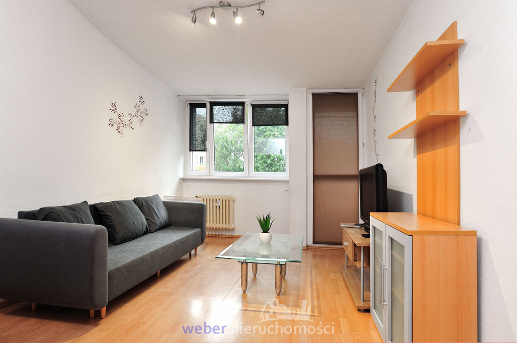 Słoneczne mieszkanie z balkonem - ul. Potulicka (1)