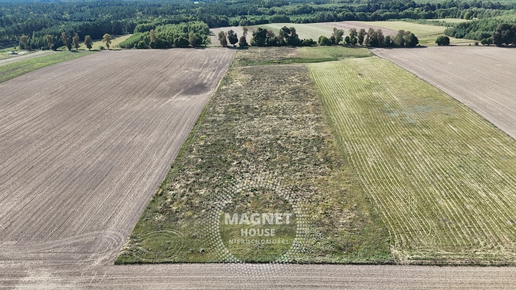 Działka rolna IVa 3ha droga brukowa 300m Rutwica (7)