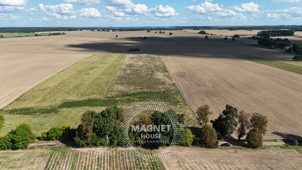 Działka rolna IVa 3ha droga brukowa 300m Rutwica (12)