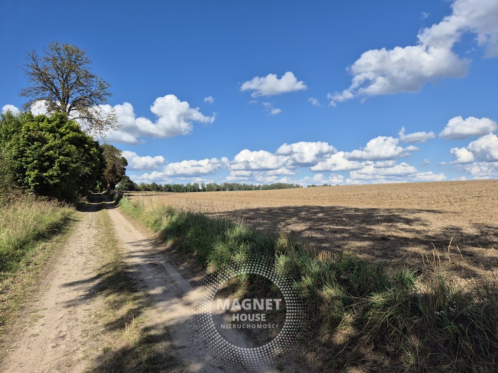 Działka rolna IVa 3ha droga brukowa 300m Rutwica (14)