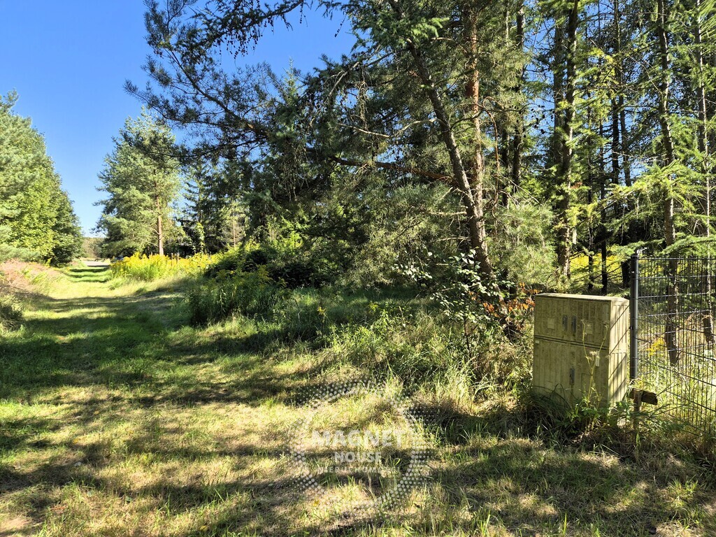 Działka bud. pod lasem | media | Łęgi gm. Dobra (11)