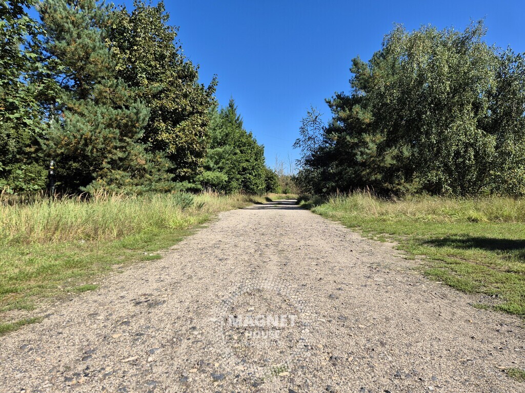 Działka bud. pod lasem | media | Łęgi gm. Dobra (12)