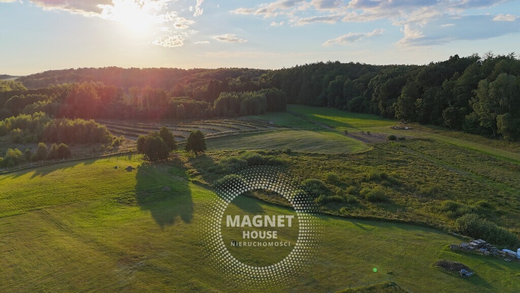 Działki budowlane wśród lasów i łąk | Strzaliny (6)