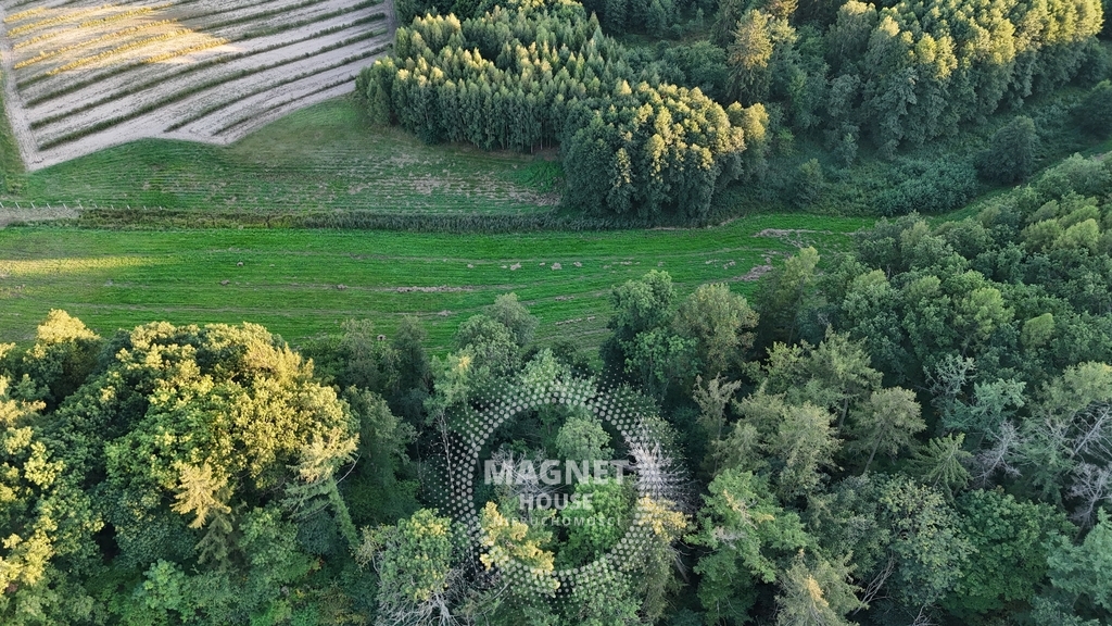 Działki budowlane wśród lasów i łąk | Strzaliny (14)