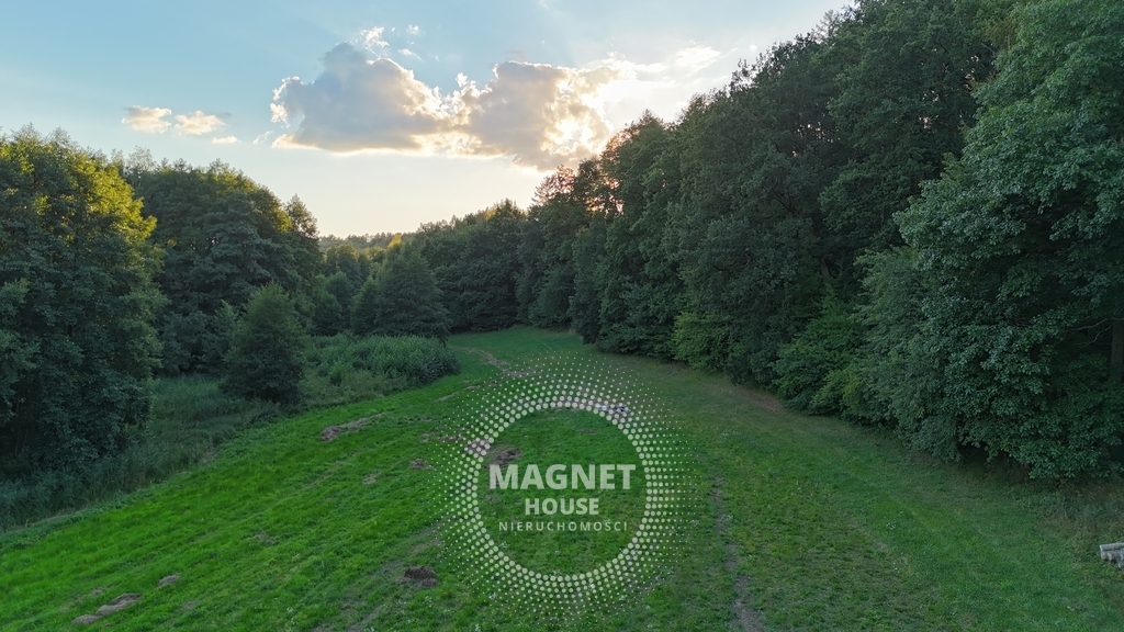 Działki budowlane wśród lasów i łąk | Strzaliny (15)