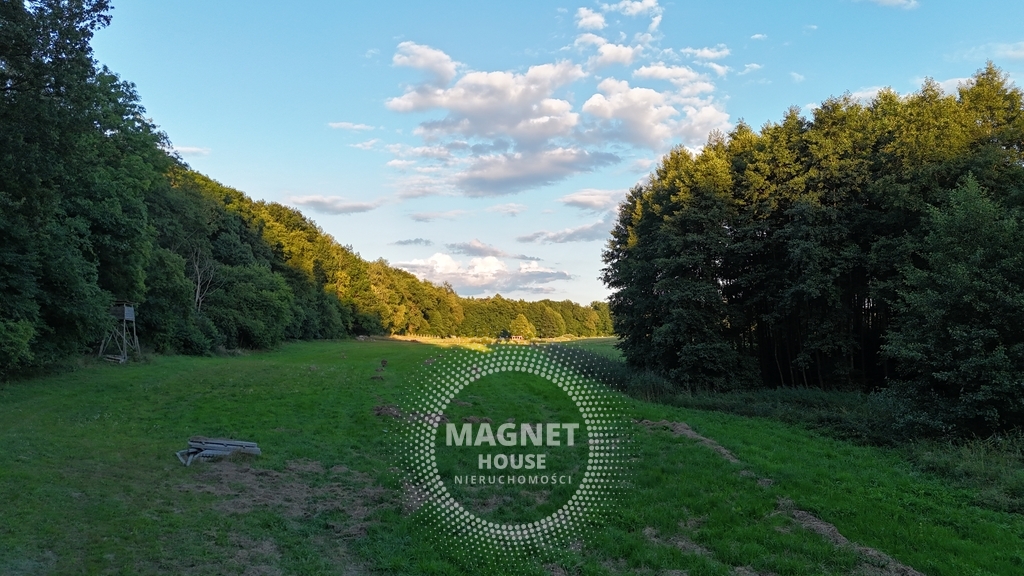 Działki budowlane wśród lasów i łąk | Strzaliny (16)