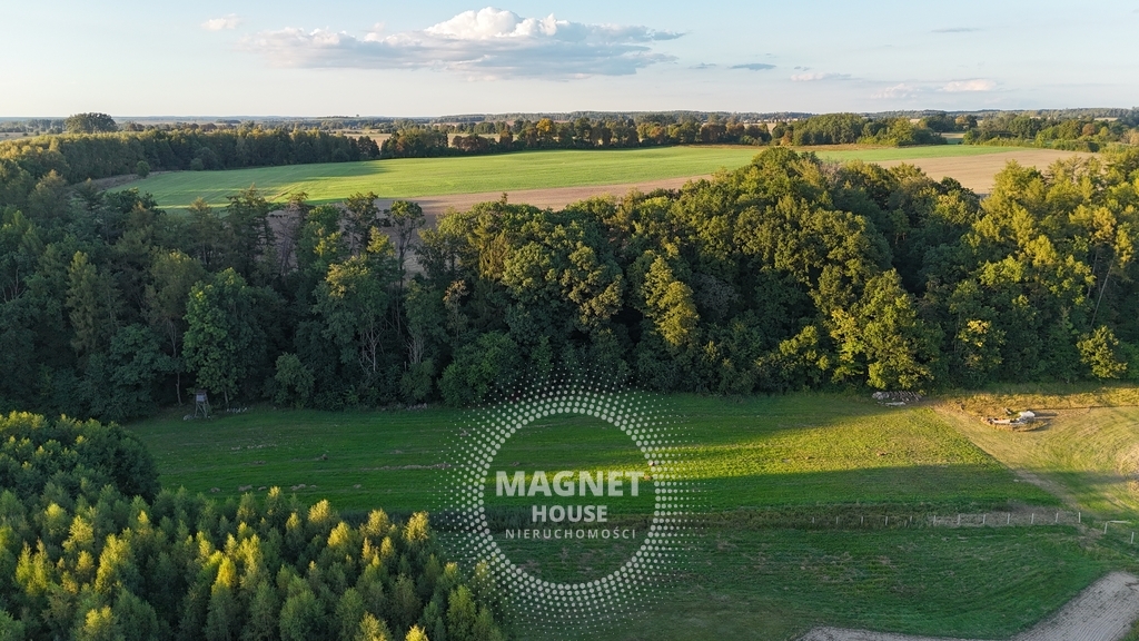 Działki budowlane wśród lasów i łąk | Strzaliny (17)
