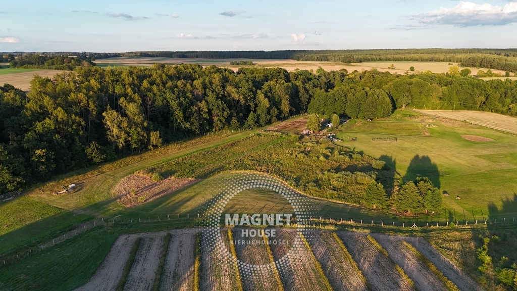 Działki budowlane wśród lasów i łąk | Strzaliny (18)