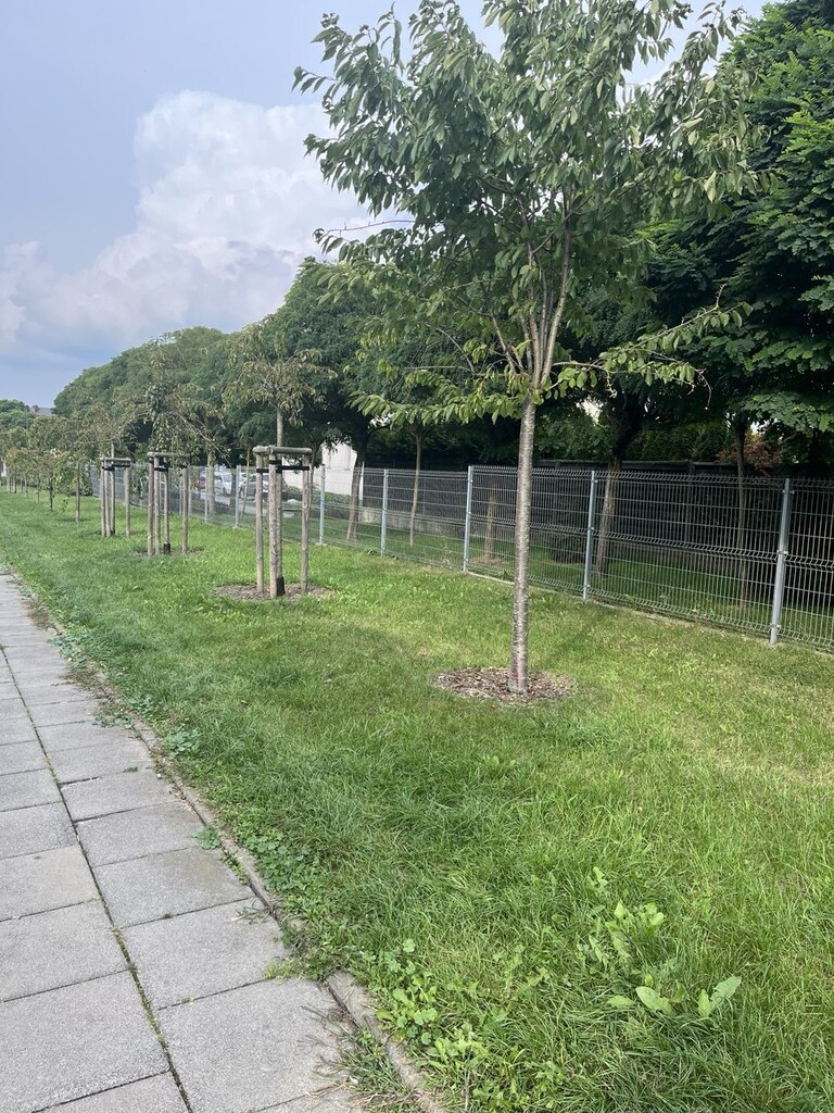 3 pokojowe mieszkanie na wynajem Gumieńce (10)