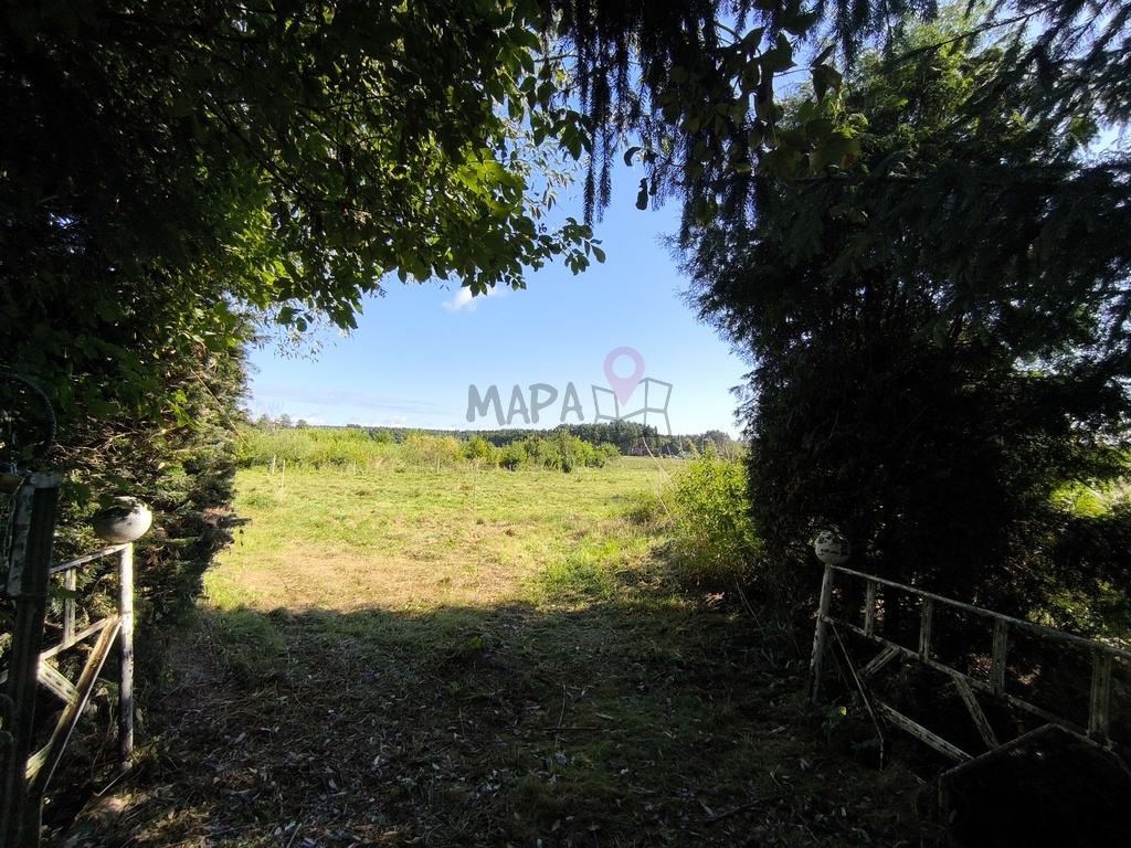 Okazja! Dom pod Szczecinem w otoczeniu zieleni (3)