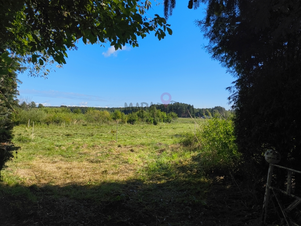 Okazja! Dom pod Szczecinem w otoczeniu zieleni (18)