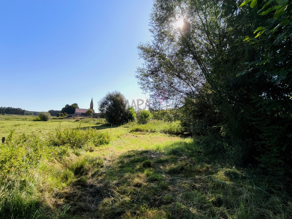 Okazja! Dom pod Szczecinem w otoczeniu zieleni (2)