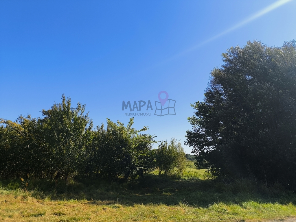 Okazja! Dom pod Szczecinem w otoczeniu zieleni (21)