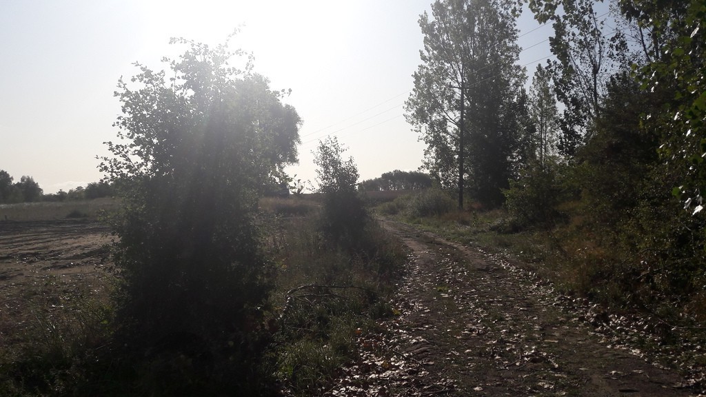 Działka 2,5 ha, DWZ dom jednorodzinny Kołbaskowo. (2)