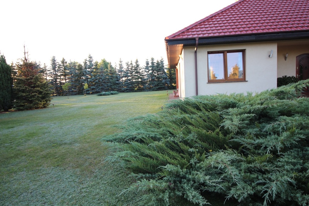 Dom w zaciszu parterowy z możliwością poddasza (2)