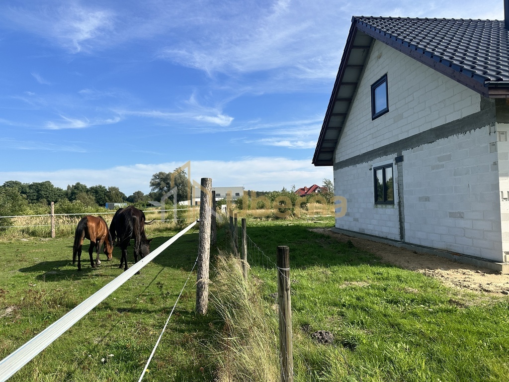 Mały dom w Białuniu na dużej działce (19)