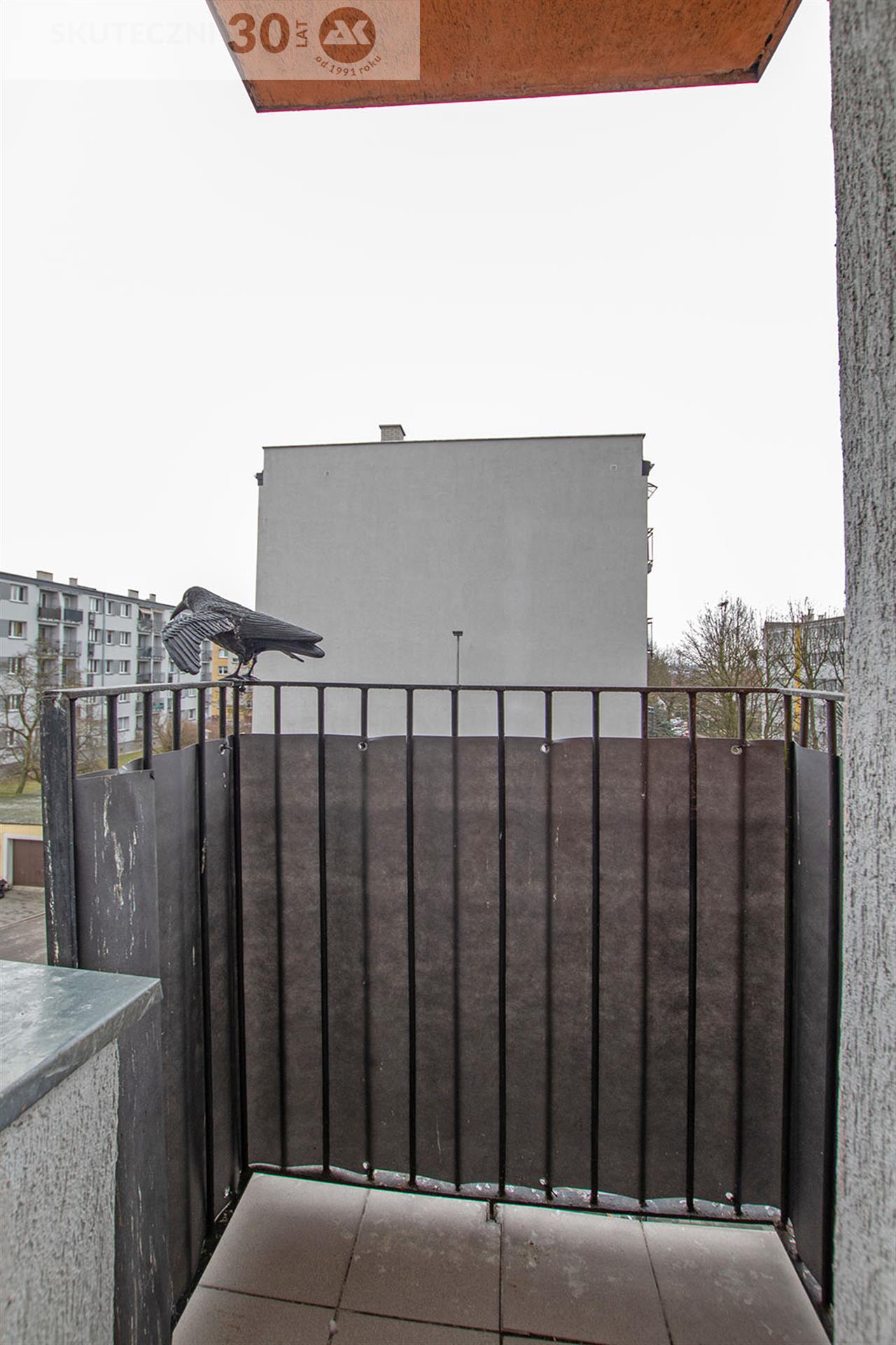 Mieszkanie - Koszalin  (11)