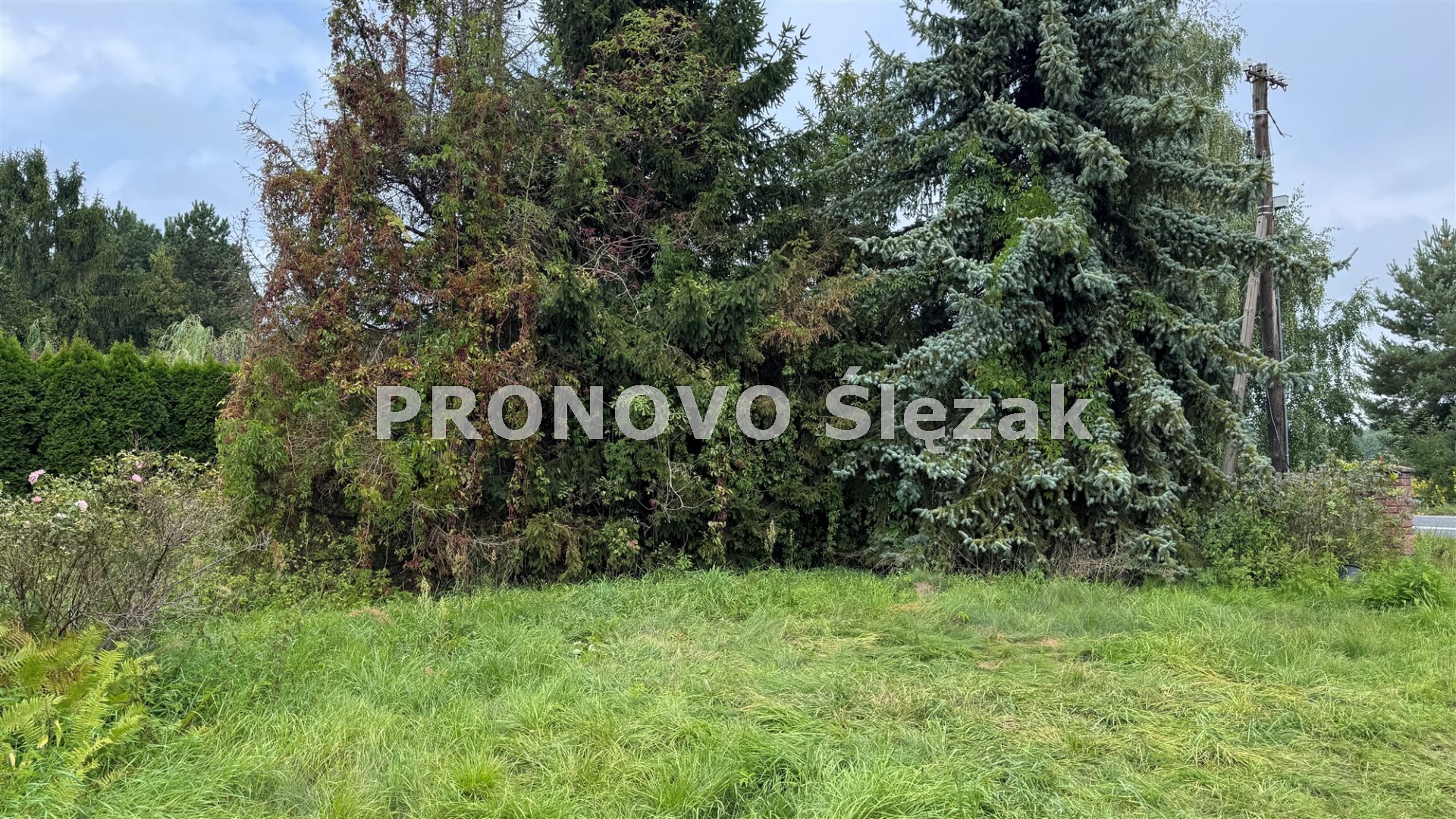 Sprzedam dom w Wilczynie koło Obornik Śląskich (2)