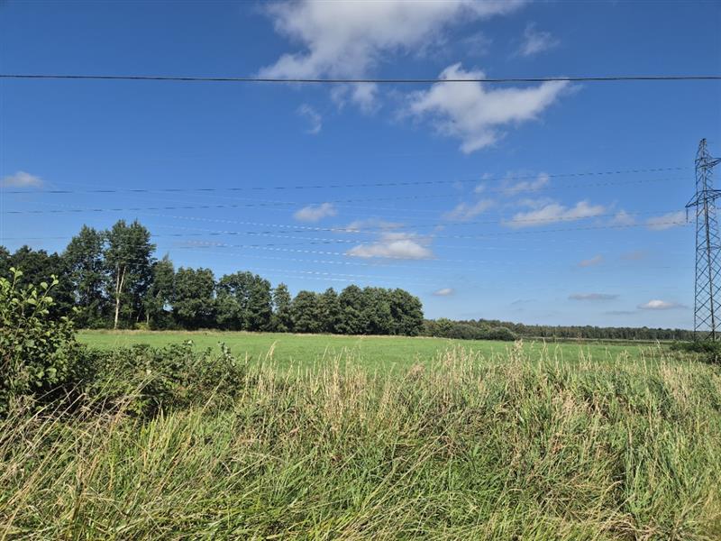 Działka - Kędzierzyn  (4)