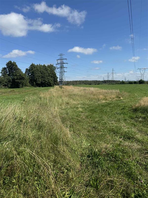 Działka - Kędzierzyn  (5)