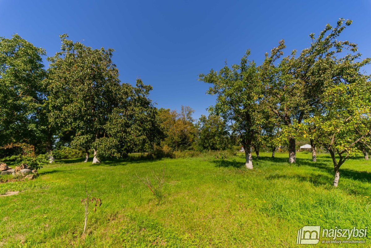 DOM WOLONOSTOJĄCY - KOSIN (27)