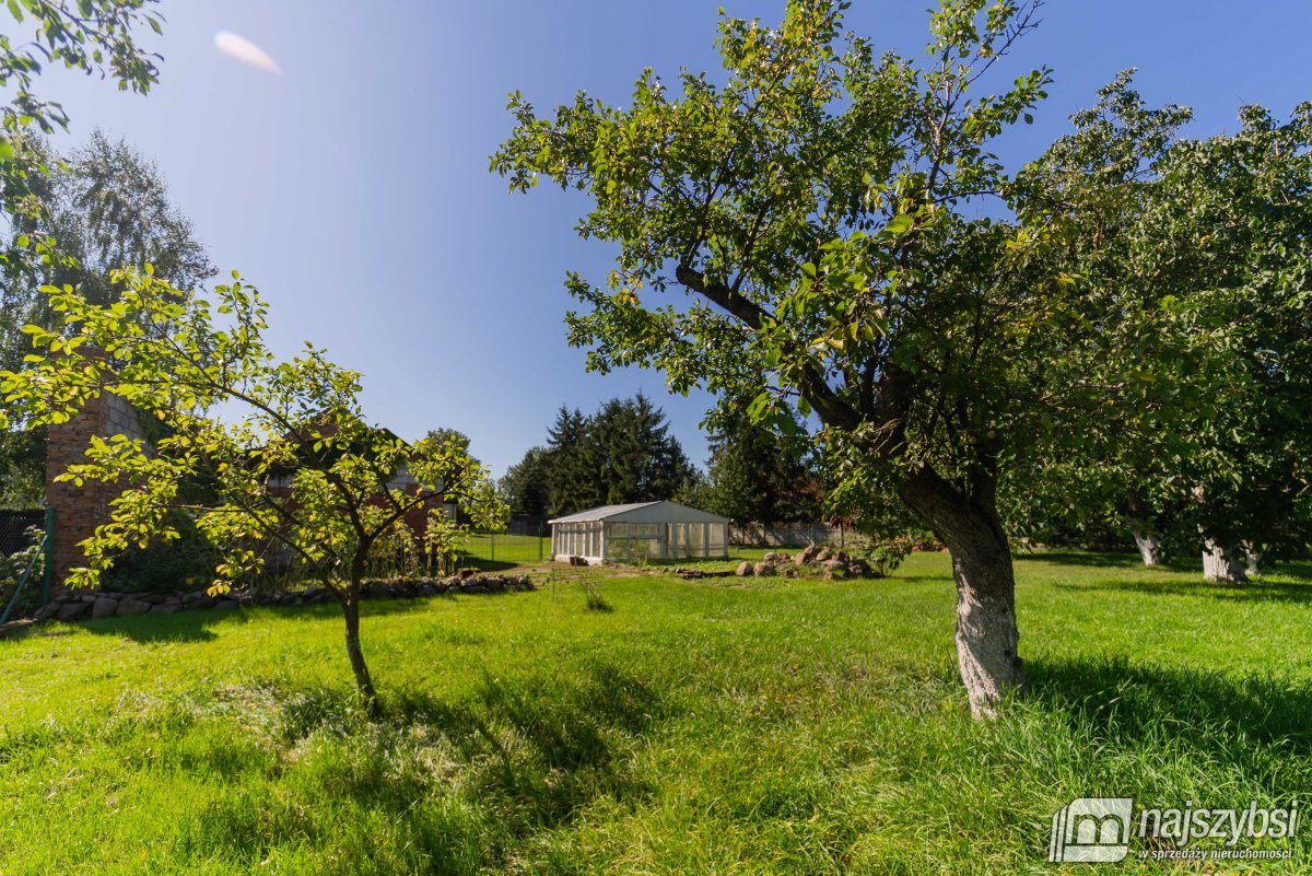 DOM WOLONOSTOJĄCY - KOSIN (4)