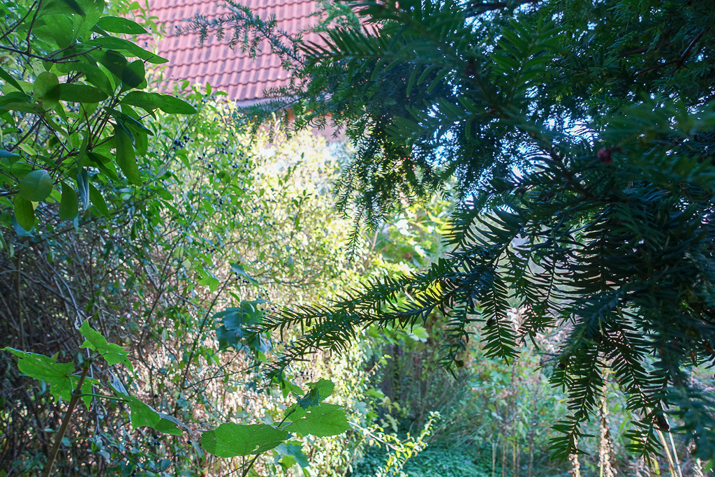 Parter domu po remoncie 101 m2+ogród+garaż 720tys. (24)