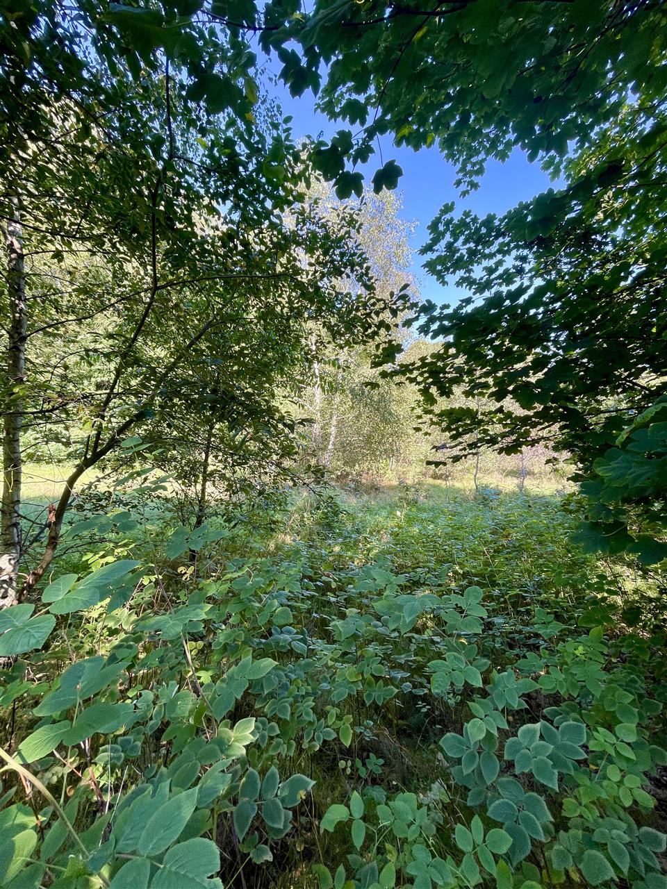 Działka budowlana blisko lasu, Wyszewo, gm. Manowo (11)