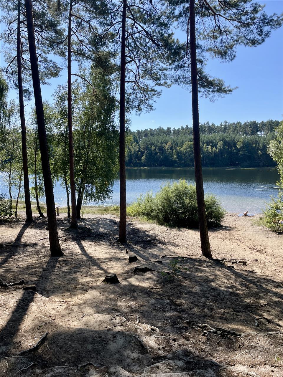 Działka budowlana blisko lasu, Wyszewo, gm. Manowo (8)