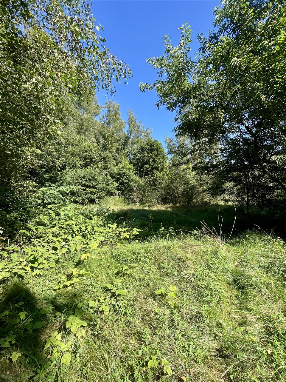 Działka budowlana blisko lasu, Wyszewo, gm. Manowo (9)