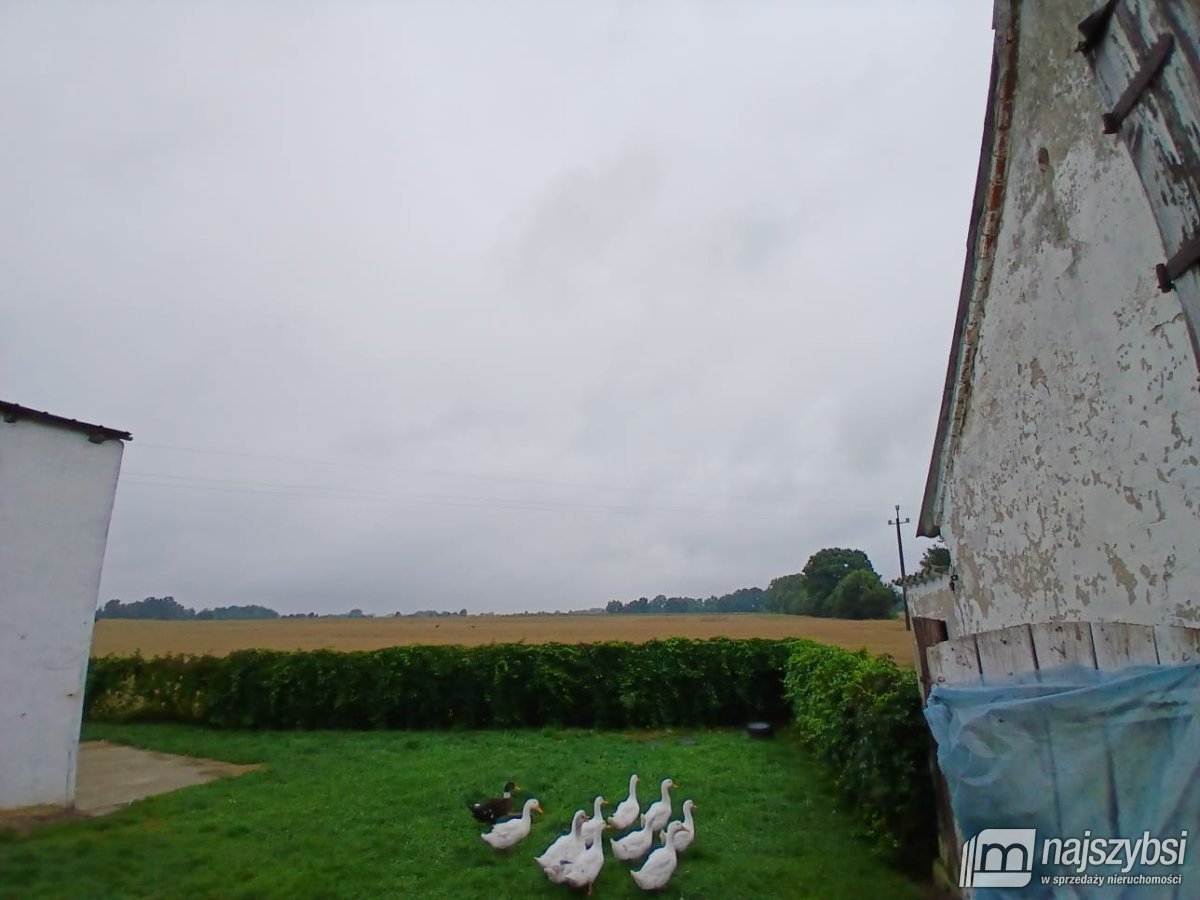 Nowogard-gospodarstwo rolne w Orzeszu (10)