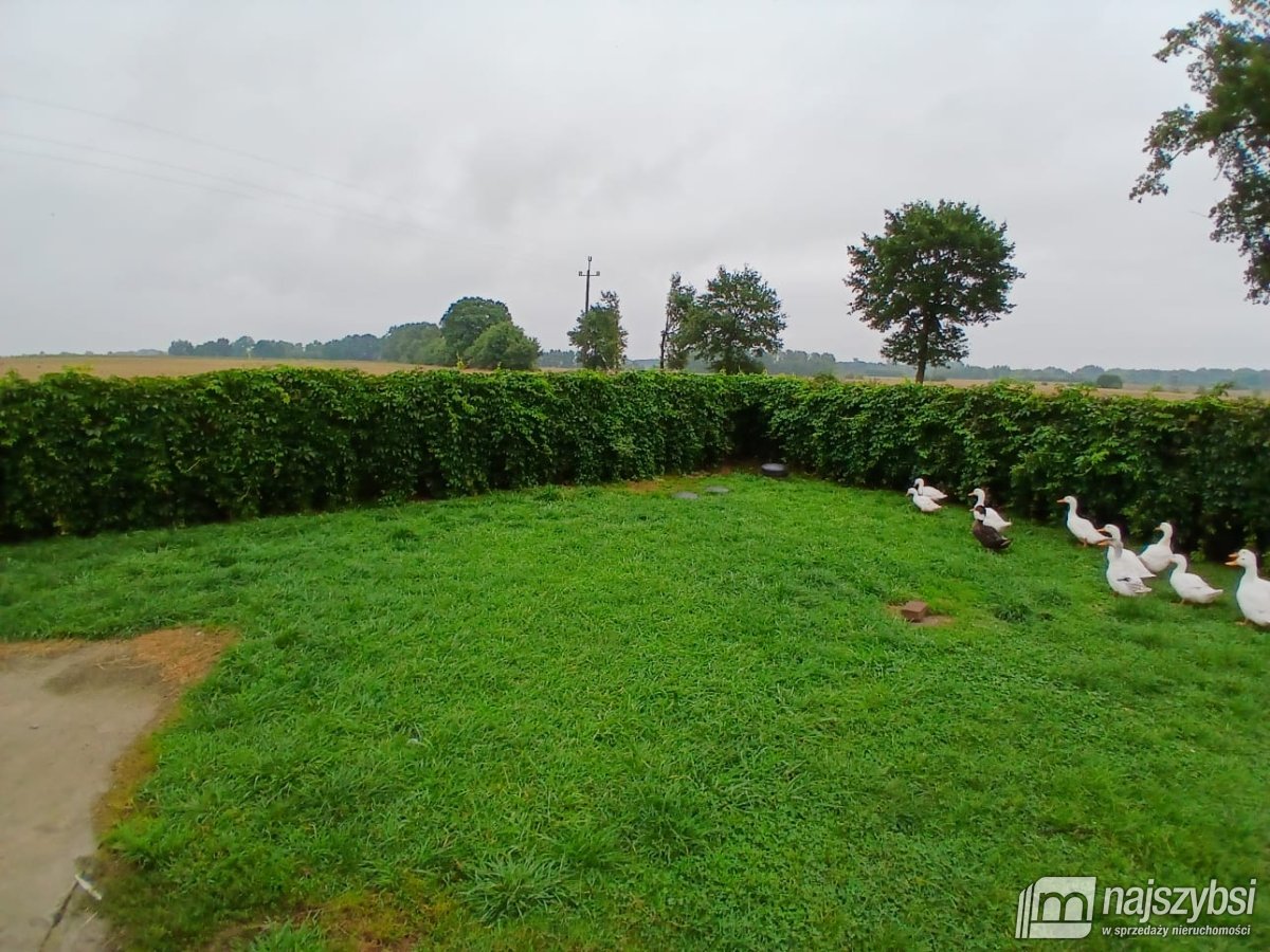 Nowogard-gospodarstwo rolne w Orzeszu (9)