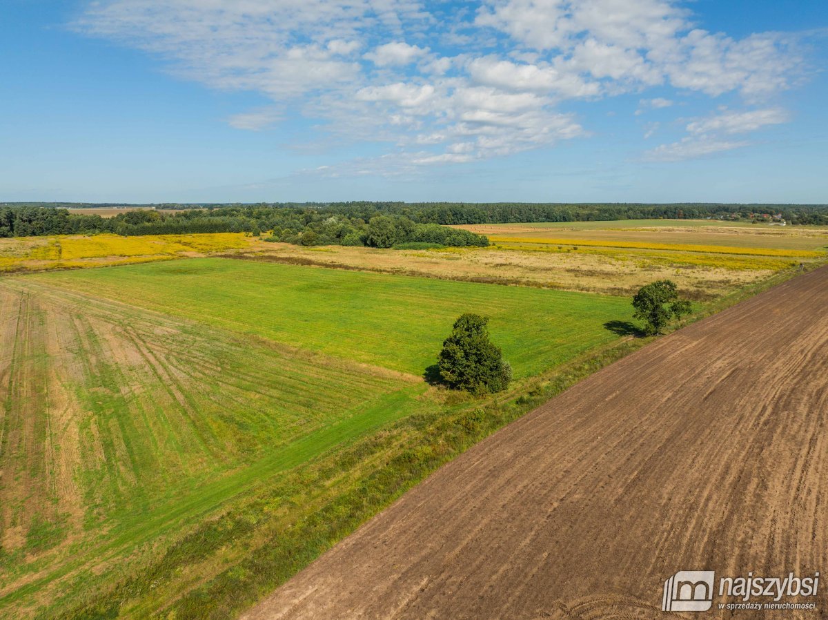 Resko - obrzeża działka 2,68ha (10)