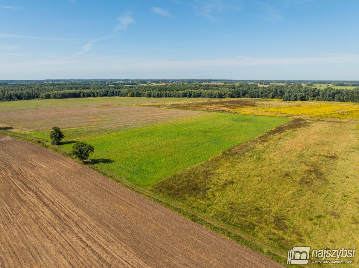 Resko - obrzeża działka 2,68ha (11)