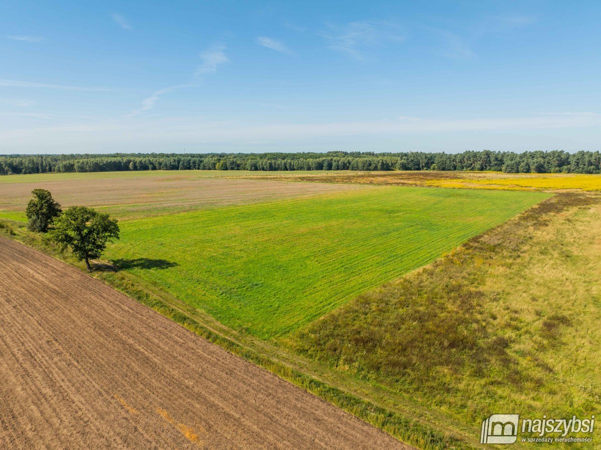 Resko - obrzeża działka 2,68ha (12)