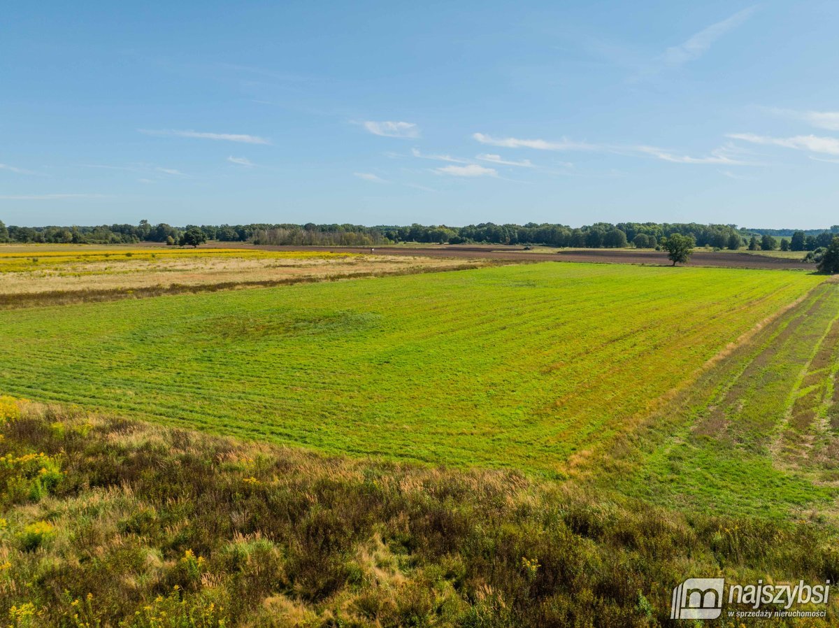 Resko - obrzeża działka 2,68ha (3)