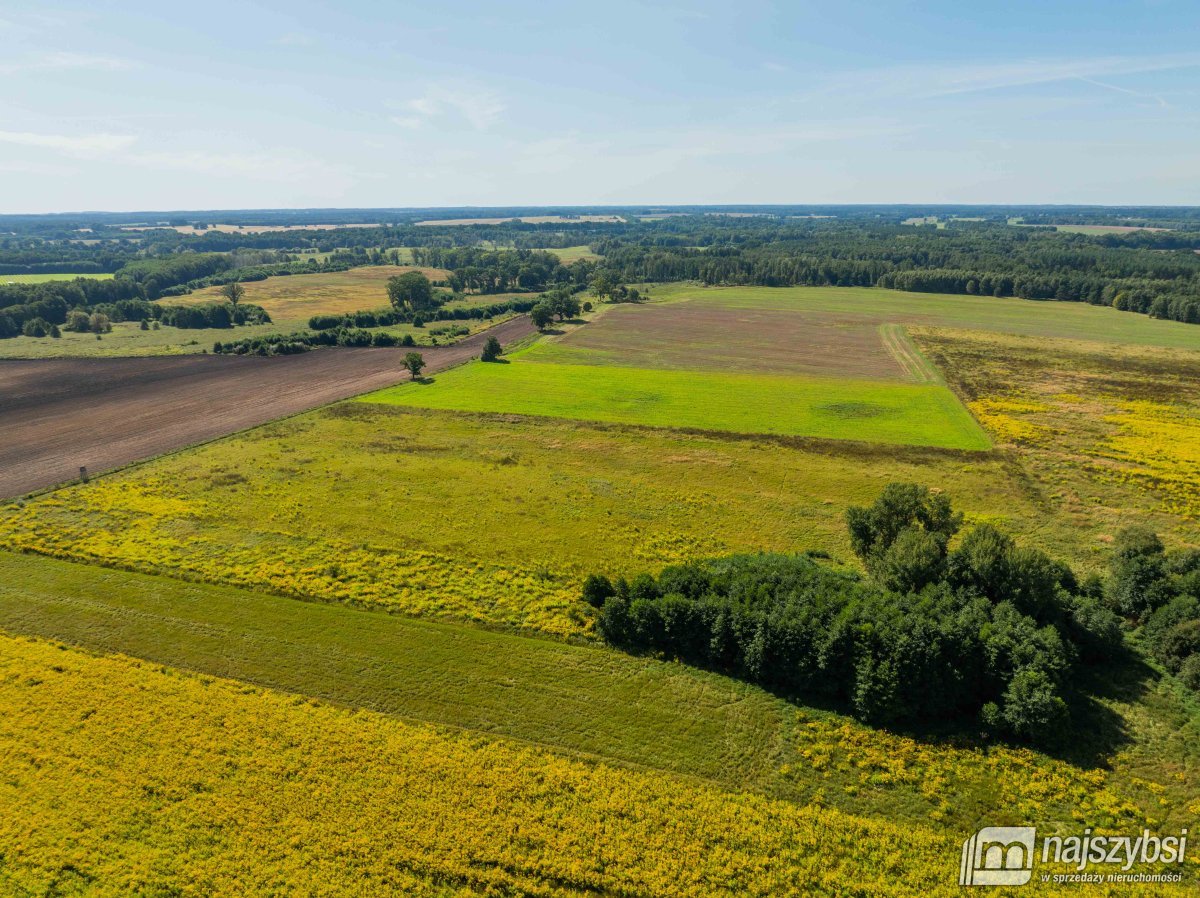 Resko - obrzeża działka 2,68ha (4)