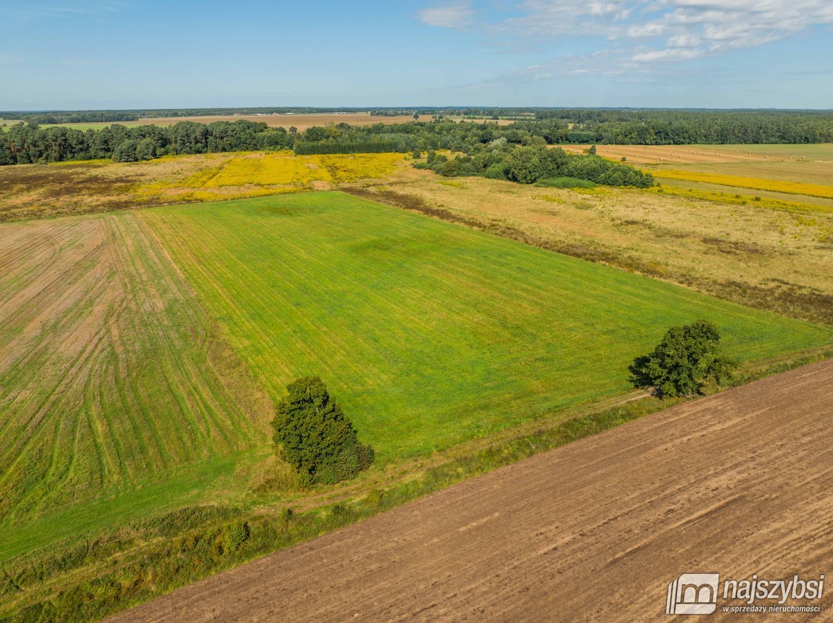 Resko - obrzeża działka 2,68ha (5)