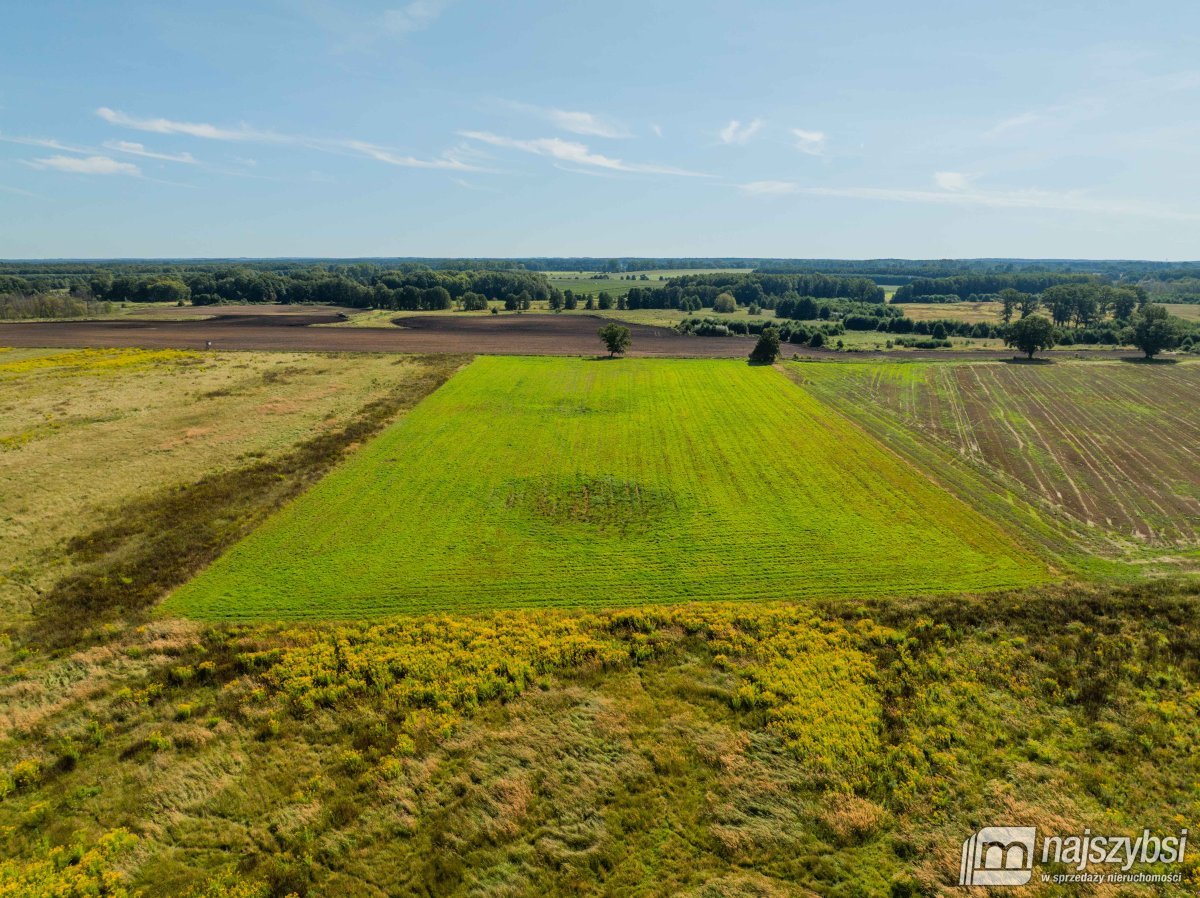 Resko - obrzeża działka 2,68ha (6)