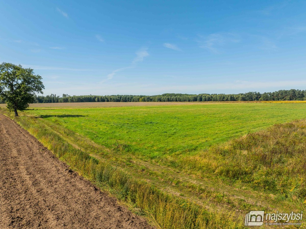 Resko - obrzeża działka 2,68ha (7)